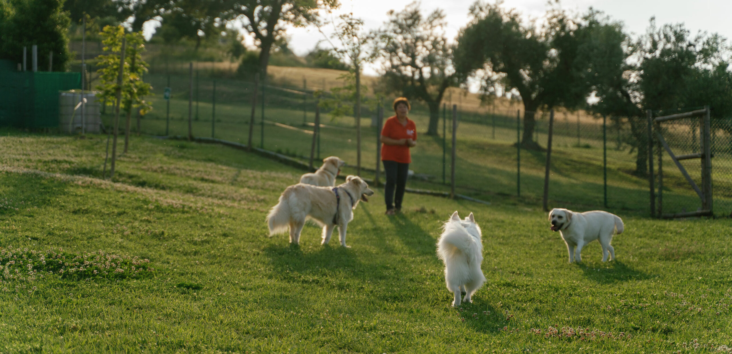 Sandra con i cani nel parco